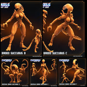 Gigerian Brood Succubus Miniatures | Aliens Vs Skull Hunters | Sci-Fi Miniature | Papsikels TabletopXtra