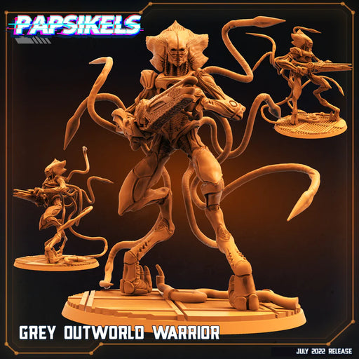 Grey Outworld Warrior | Sci-Fi Specials | Sci-Fi Miniature | Papsikels TabletopXtra
