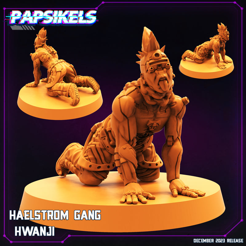 Haelstrom Gang Hwanji | Cyberpunk | Sci-Fi Miniature | Papsikels