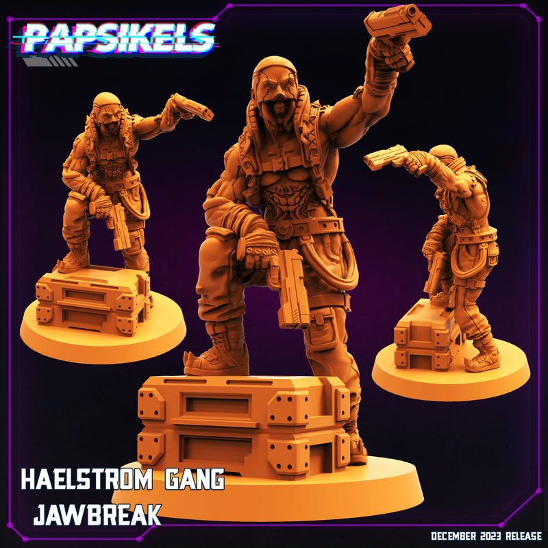Haelstrom Gang Miniatures | Cyberpunk | Sci-Fi Miniature | Papsikels