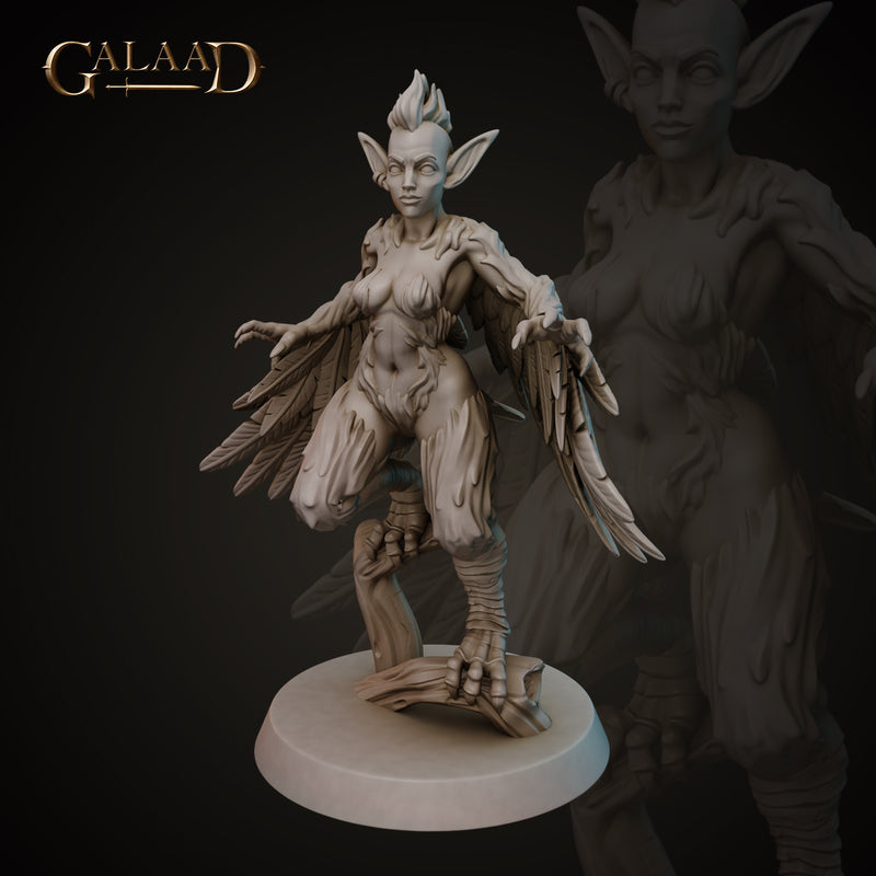 Harpy Miniatures | Driders, Harpys and Golems | Fantasy Miniature | Galaad Miniatures