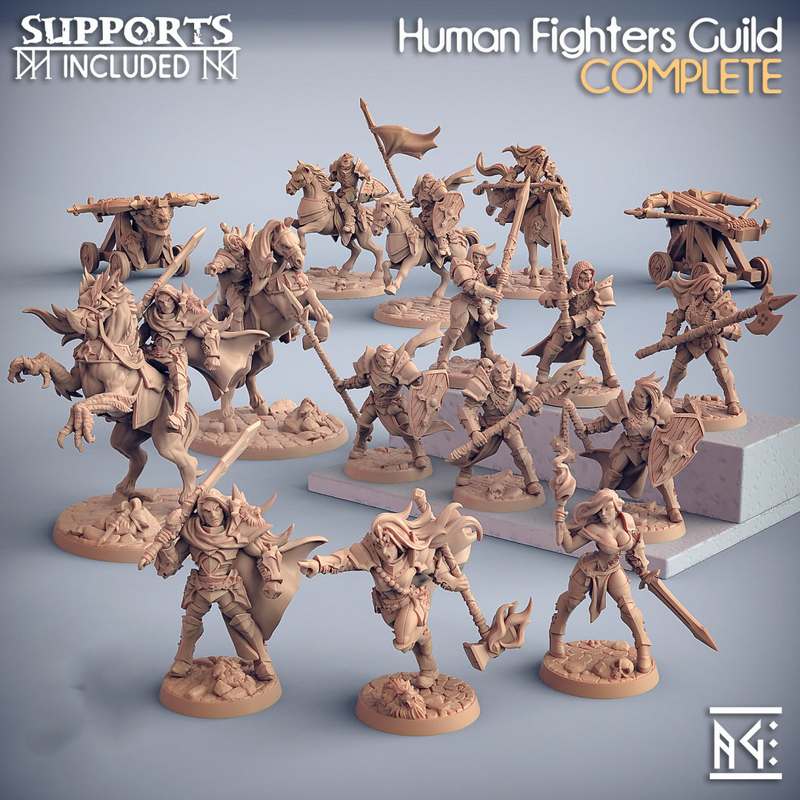 Human Fighters Guild Miniatures (Full Set) | Fantasy D&D Miniature | Artisan Guild