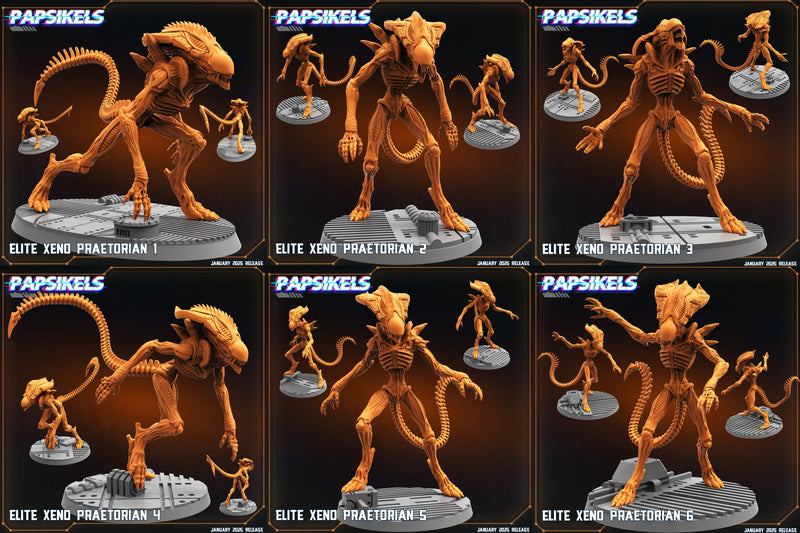 Elite Xeno Praetorian Miniatures | Aliens Vs Humans XIII Ascension | Papsikels