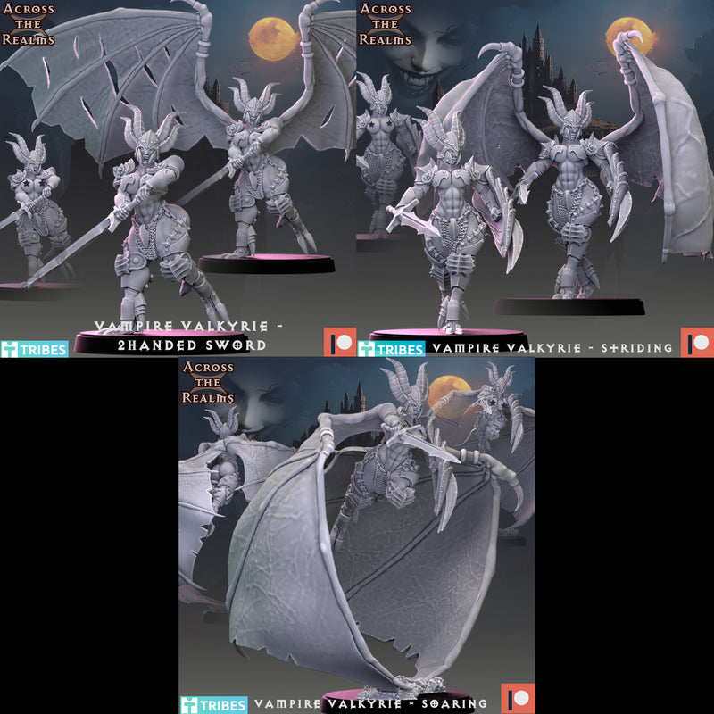 Vampire Valkyrie Miniatures | Echoes of the Night