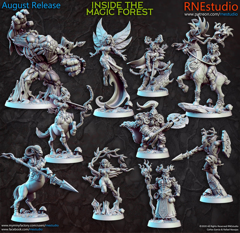 Inside the Magic Forest Miniatures (Full Set) | Fantasy Miniature | RN Estudio TabletopXtra