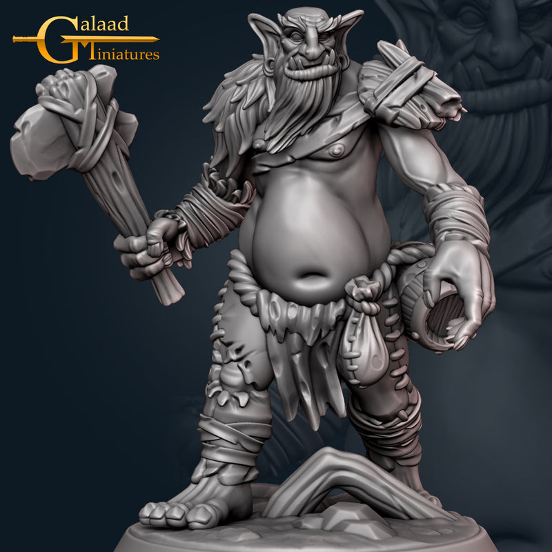 January Adventurer Miniatures (Full Set) | Fantasy Miniature | Galaad Miniatures TabletopXtra