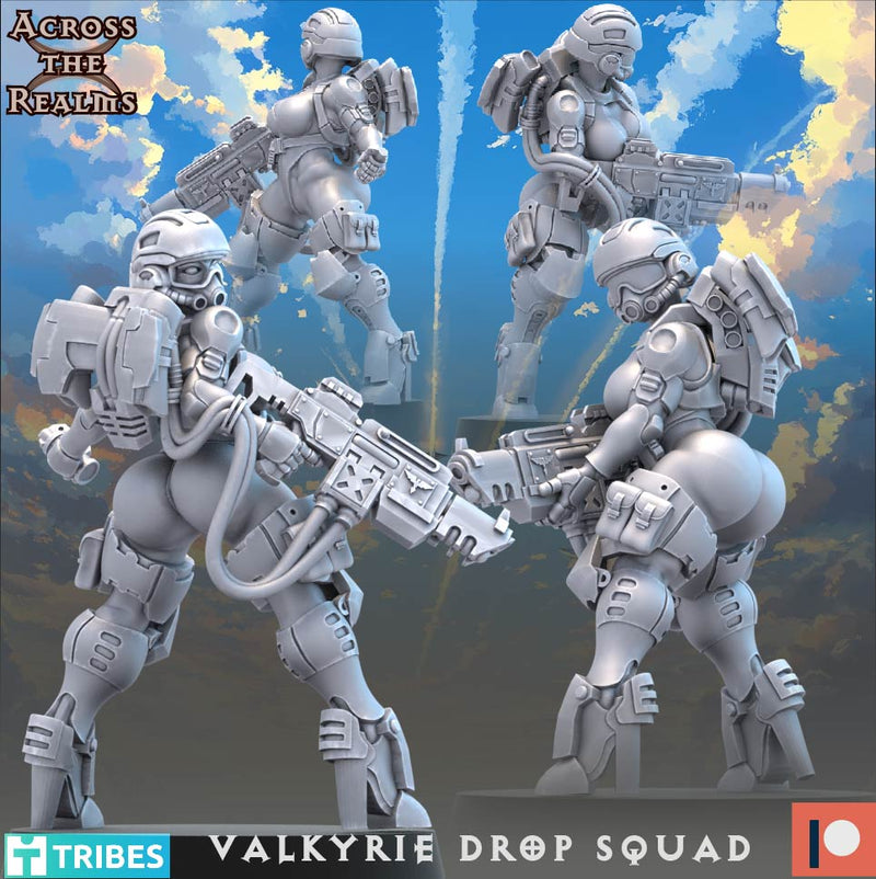 Valkyrie Drop Squad Miniatures | To The Skies