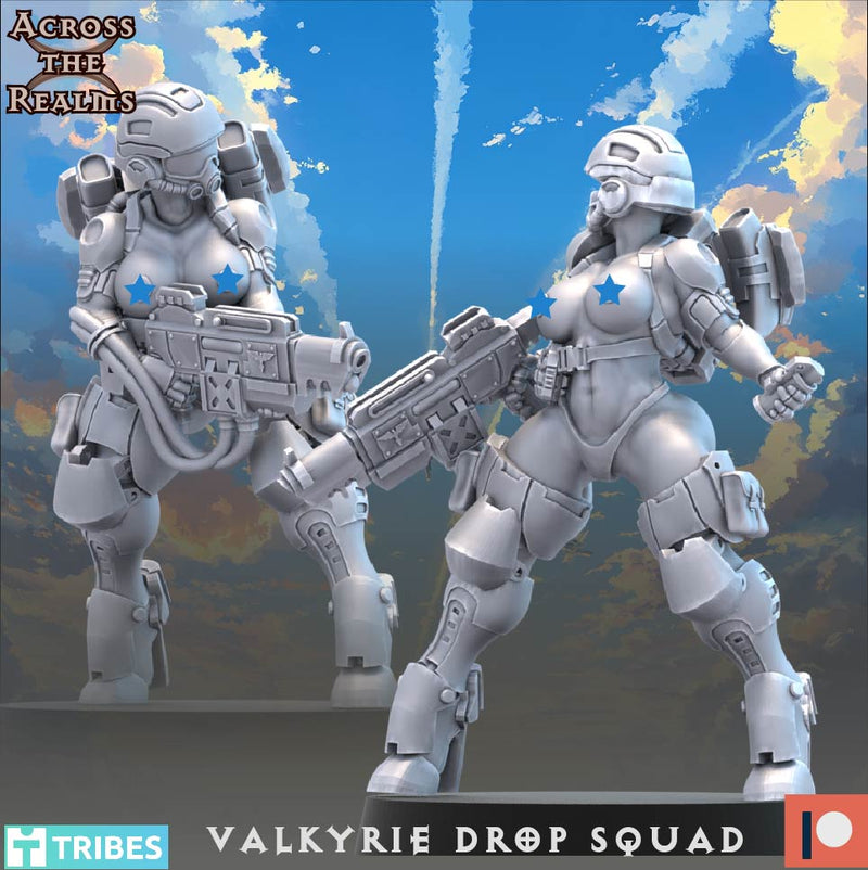 Valkyrie Drop Squad Miniatures | To The Skies