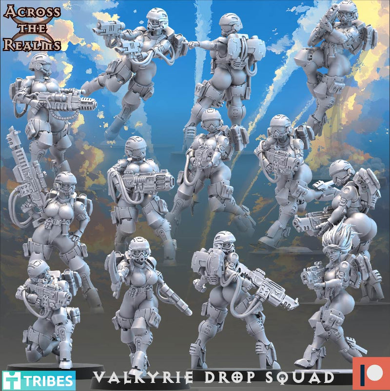 Valkyrie Drop Squad Miniatures | To The Skies