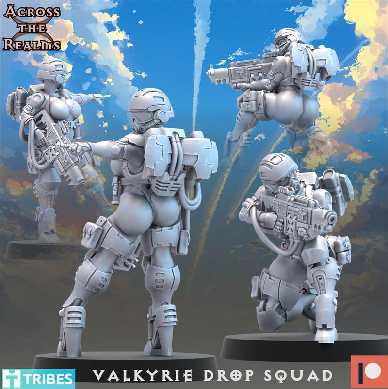 Valkyrie Drop Squad Miniatures | To The Skies