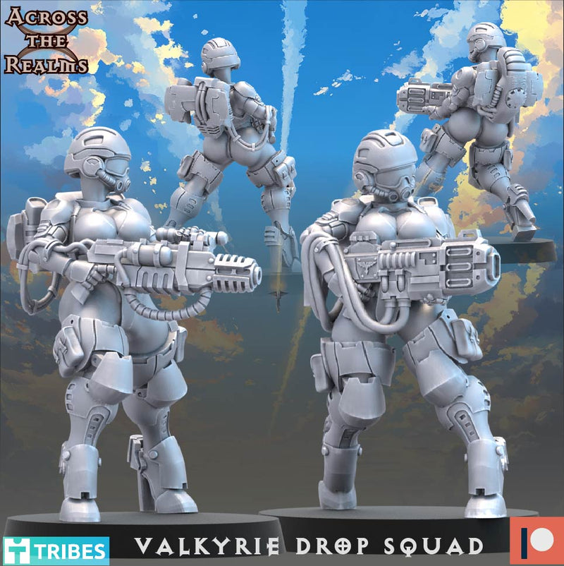 Valkyrie Drop Squad Miniatures | To The Skies
