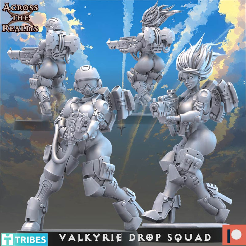 Valkyrie Drop Squad Miniatures | To The Skies