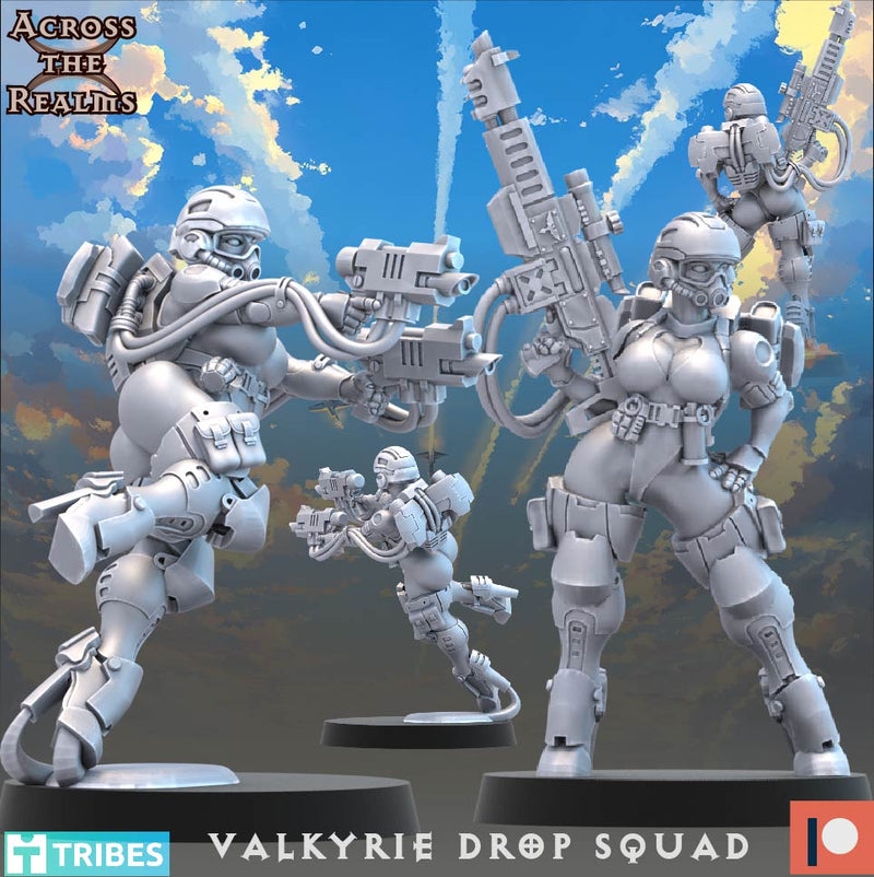 Valkyrie Drop Squad Miniatures | To The Skies