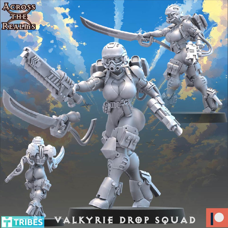 Valkyrie Drop Squad Miniatures | To The Skies