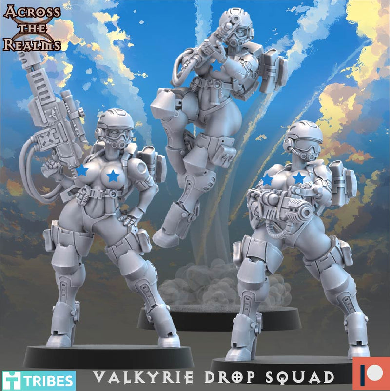 Valkyrie Drop Squad Miniatures | To The Skies
