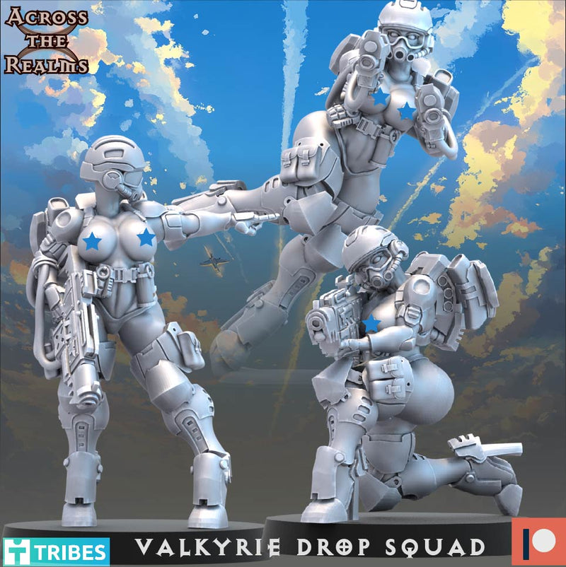 Valkyrie Drop Squad Miniatures | To The Skies