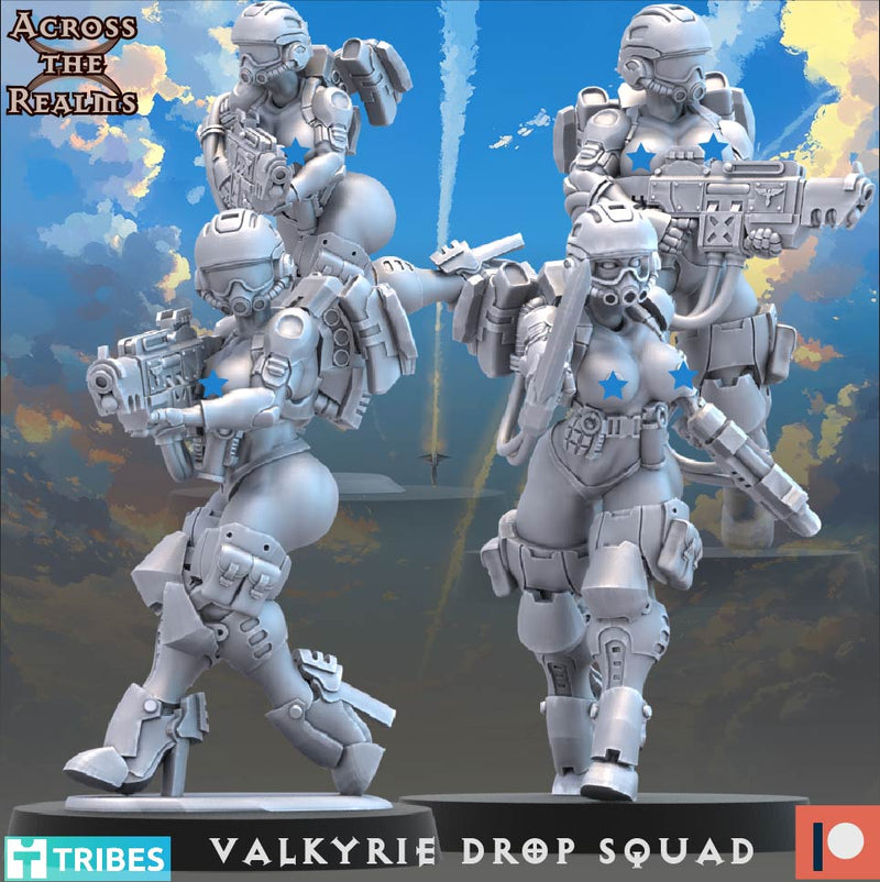 Valkyrie Drop Squad Miniatures | To The Skies