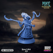 Kaaw Cultist 3 | Panic at Moorefrost Manor | Tabletop RPG Miniature TabletopXtra