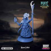 Kaaw Cultist 3 | Panic at Moorefrost Manor | Tabletop RPG Miniature TabletopXtra