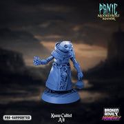 Kaaw Cultist 4 | Panic at Moorefrost Manor | Tabletop RPG Miniature TabletopXtra