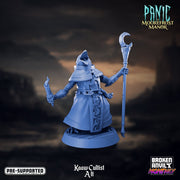 Kaaw Cultist 5 | Panic at Moorefrost Manor | Tabletop RPG Miniature TabletopXtra