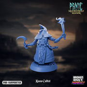 Kaaw Cultist 5 | Panic at Moorefrost Manor | Tabletop RPG Miniature TabletopXtra
