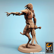 Kenku Soldier Miniatures | Dinotopia Part 2 | Fantasy Miniature | Rescale Miniatures TabletopXtra