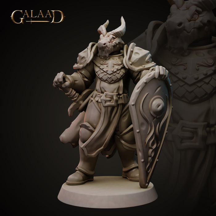 Dragon Knight | Knights | Fantasy Miniature | Galaad Miniatures