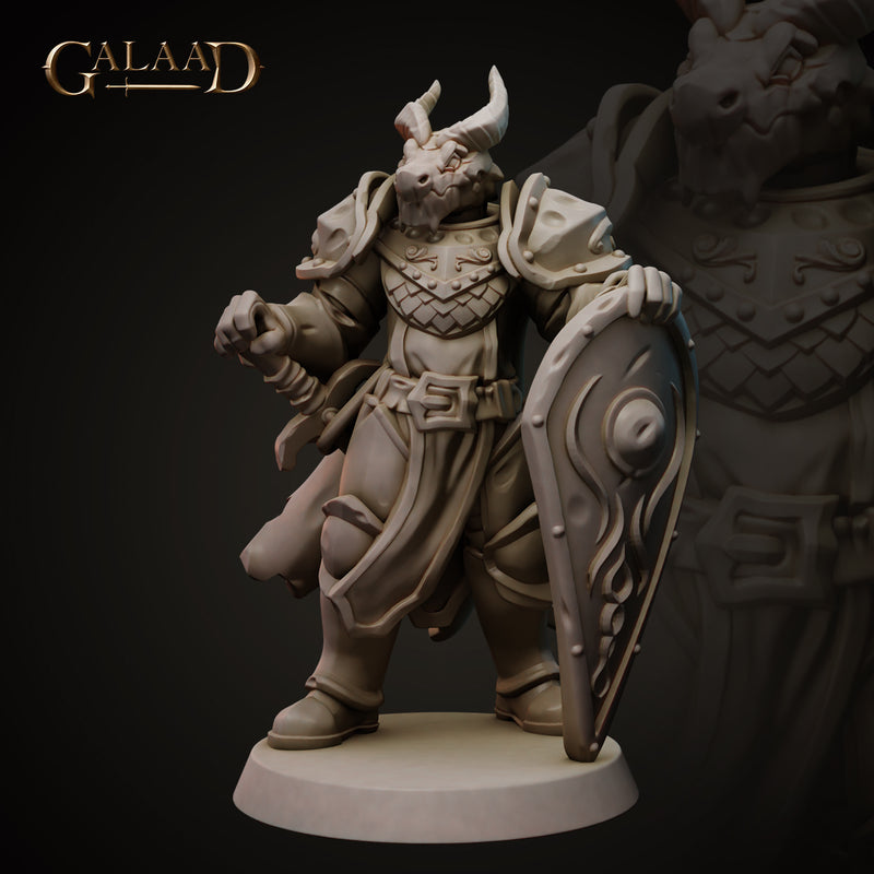 Knight Miniatures | Fantasy | Galaad Miniatures