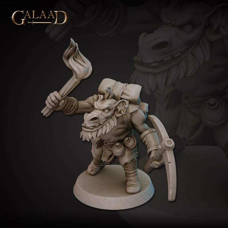 Succubi, Myconids and Kobold Miniatures (Full Set) | Fantasy Miniature | Galaad Miniatures