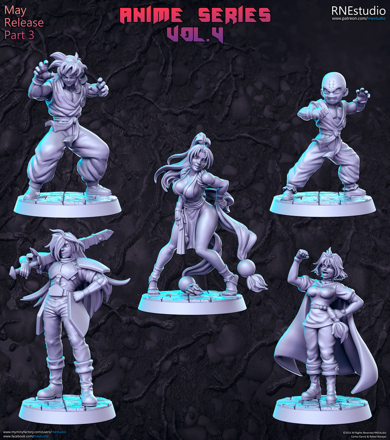 Anime Series Vol 4 Miniatures | Fantasy Miniature | RN Estudio