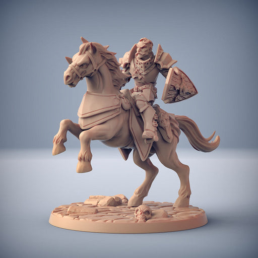 Mounted Fighter B | Human Fighters Guild | Fantasy D&D Miniature | Artisan Guild TabletopXtra