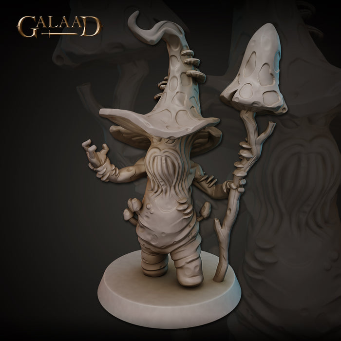 Succubi, Myconids and Kobold Miniatures (Full Set) | Fantasy Miniature | Galaad Miniatures