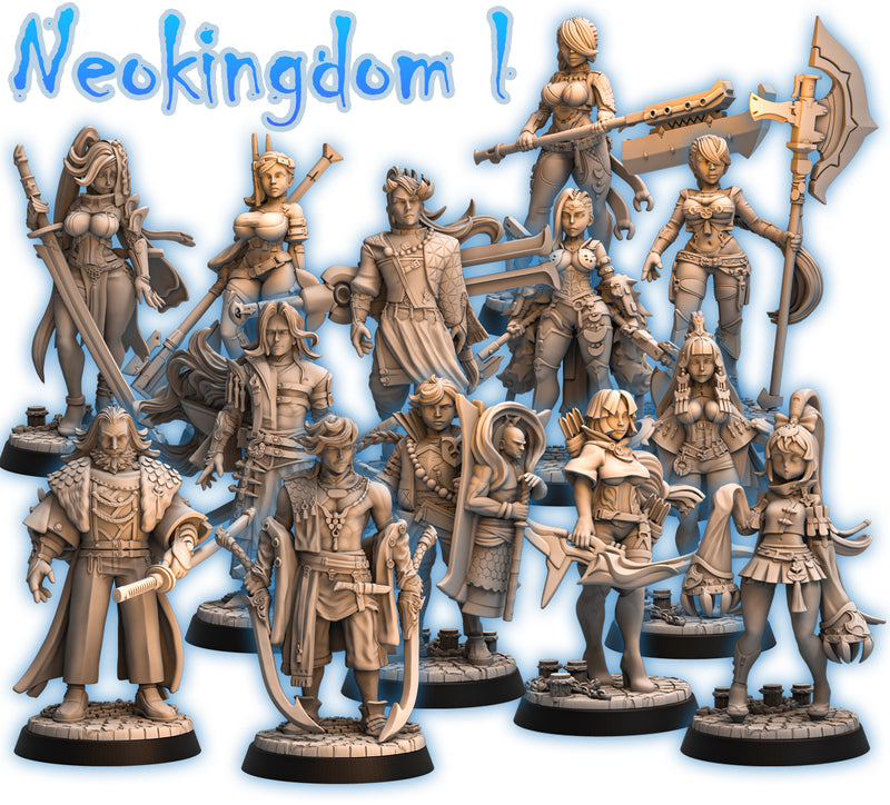 Neokingdom Miniatures | Fantasy Miniature | RN Estudio