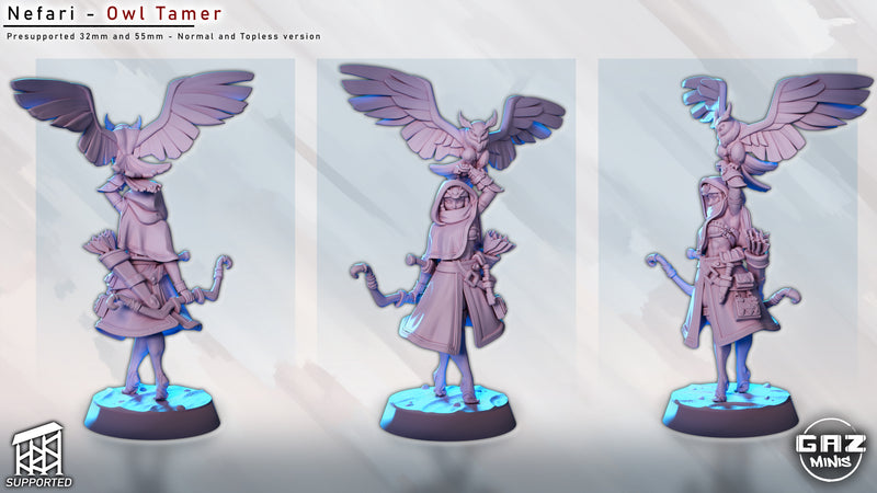 Owl Tamer Nefari | Fantasy Pin-Up | Gaz Minis