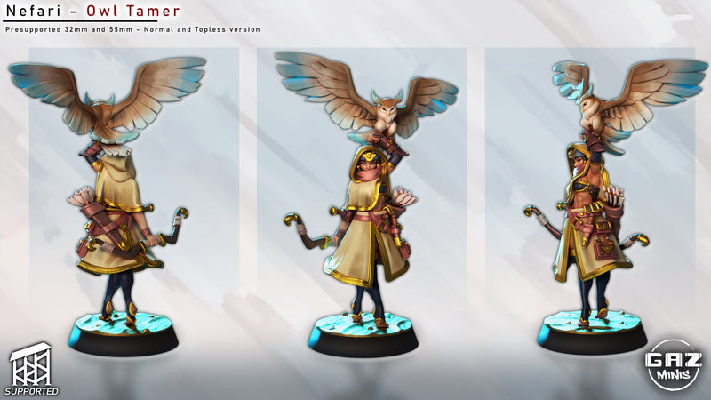 Owl Tamer Nefari | Fantasy Pin-Up | Gaz Minis