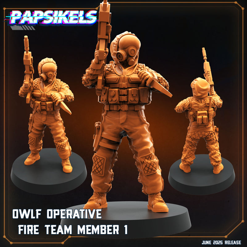 OWLF Fireteam Miniatures | Aliens Vs Humans XVIII Dark Space | Papsikels