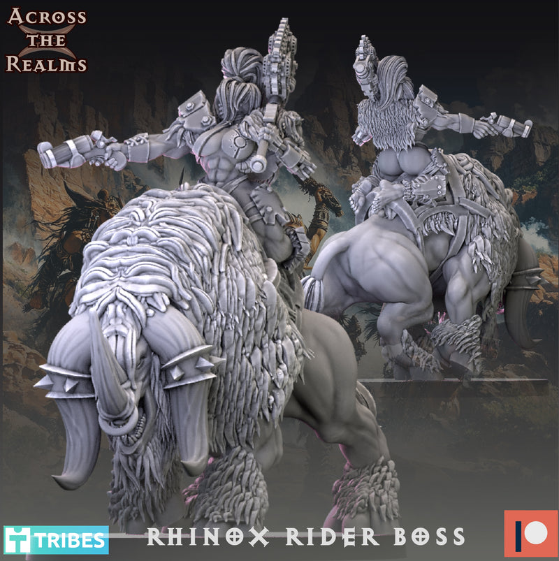 Rhinox Rider Boss | Beast Huntaz