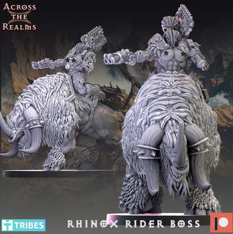 Rhinox Rider Boss | Beast Huntaz