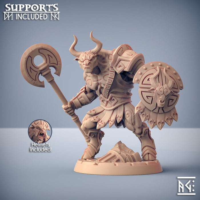 Order of the Labyrinth Miniatures (Full Set) | Fantasy D&D Miniature | Artisan Guild TabletopXtra