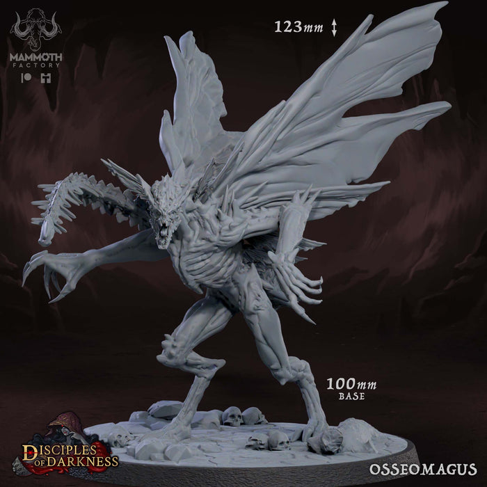 Osseomagus | Disciples of Darkness | Fantasy Tabletop Miniature | Mammoth Factory