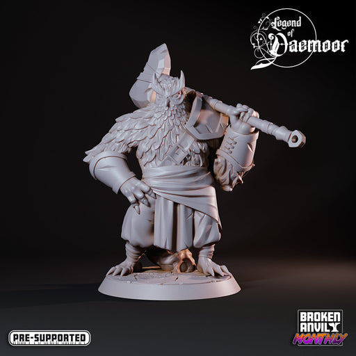 Owlfolk Barbarian w/ Axe | Legend of Daemoor | Tabletop RPG Miniature TabletopXtra