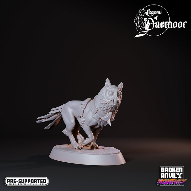 Owlfolk Howlers Miniatures | Legend of Daemoor | Tabletop RPG Miniature TabletopXtra