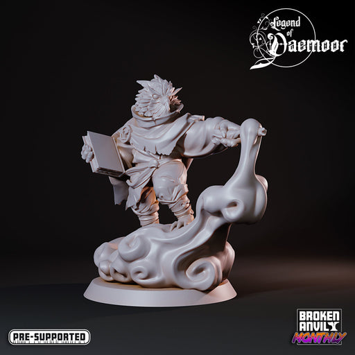 Owlfolk Wind Mage | Legend of Daemoor | Tabletop RPG Miniature TabletopXtra