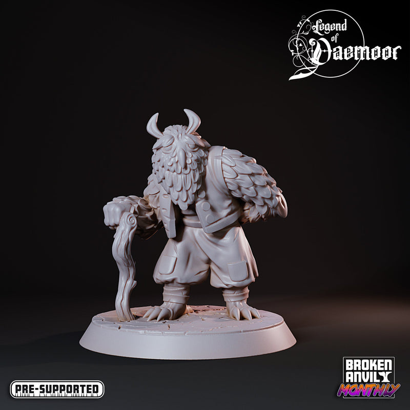 Owlfolk Wise Elder | Legend of Daemoor | Tabletop RPG Miniature TabletopXtra