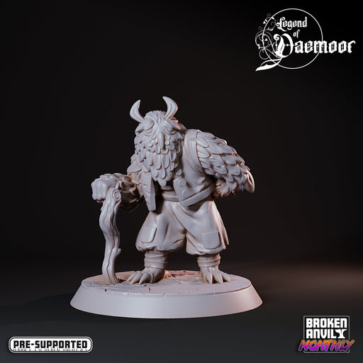 Owlfolk Wise Elder | Legend of Daemoor | Tabletop RPG Miniature TabletopXtra