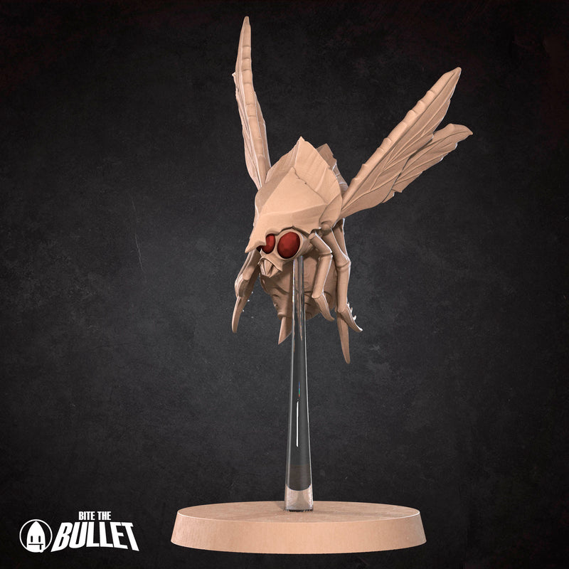 Encounters Undead Miniatures | Tabletop Fantasy Miniatures | BTB
