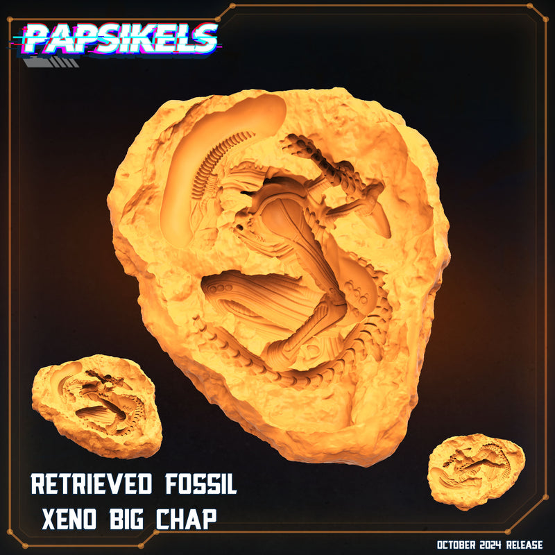 Retrieved Artifact Xeno Big Chap | Aliens Vs Humans X Scavenger | Papsikels