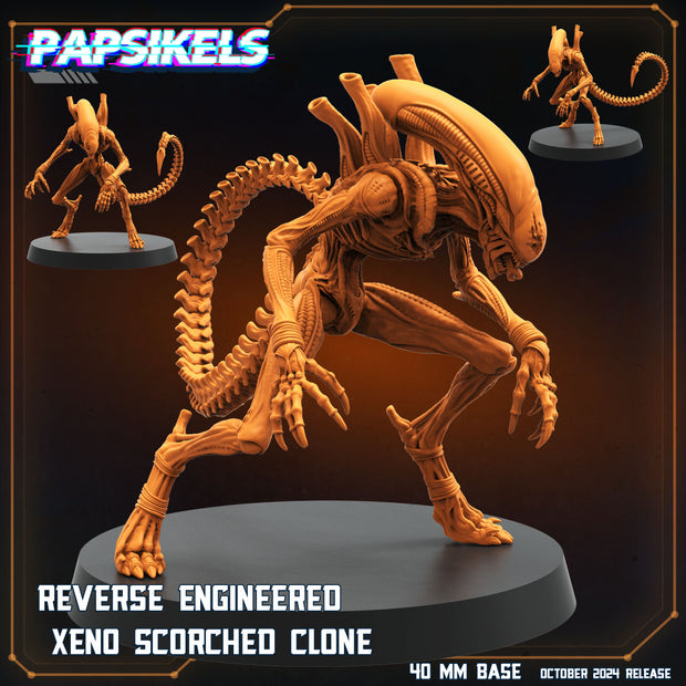 Xeno Scorched Clone | Specials | Papsikels