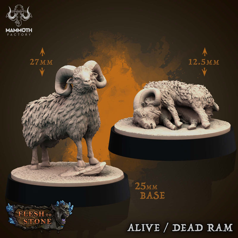 Ram Miniatures | Flesh to Stone | Fantasy Tabletop Miniature | Mammoth Factory TabletopXtra